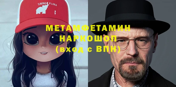 сатива Ельня