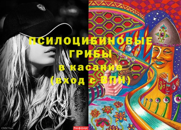 сатива Ельня