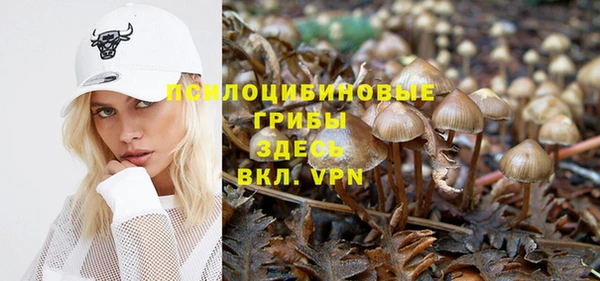 сатива Ельня