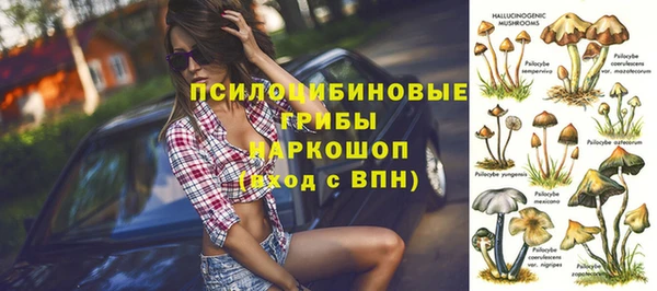 эйфоретик Тутаев