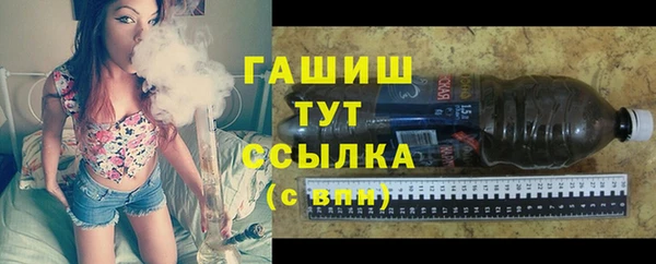 сатива Ельня