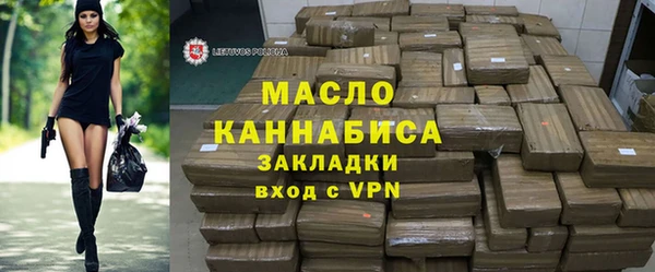 сатива Ельня
