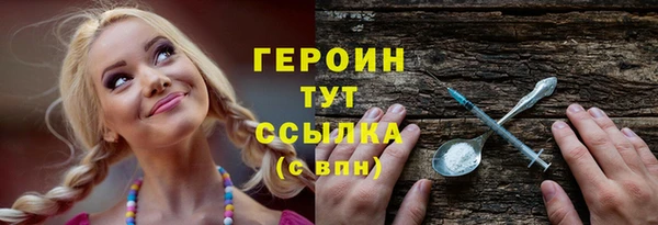 сатива Ельня