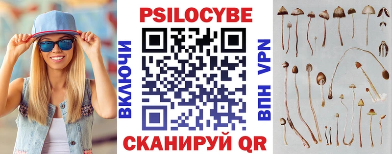 Галлюциногенные грибы Psilocybe закладка нарко площадка телеграм Сим